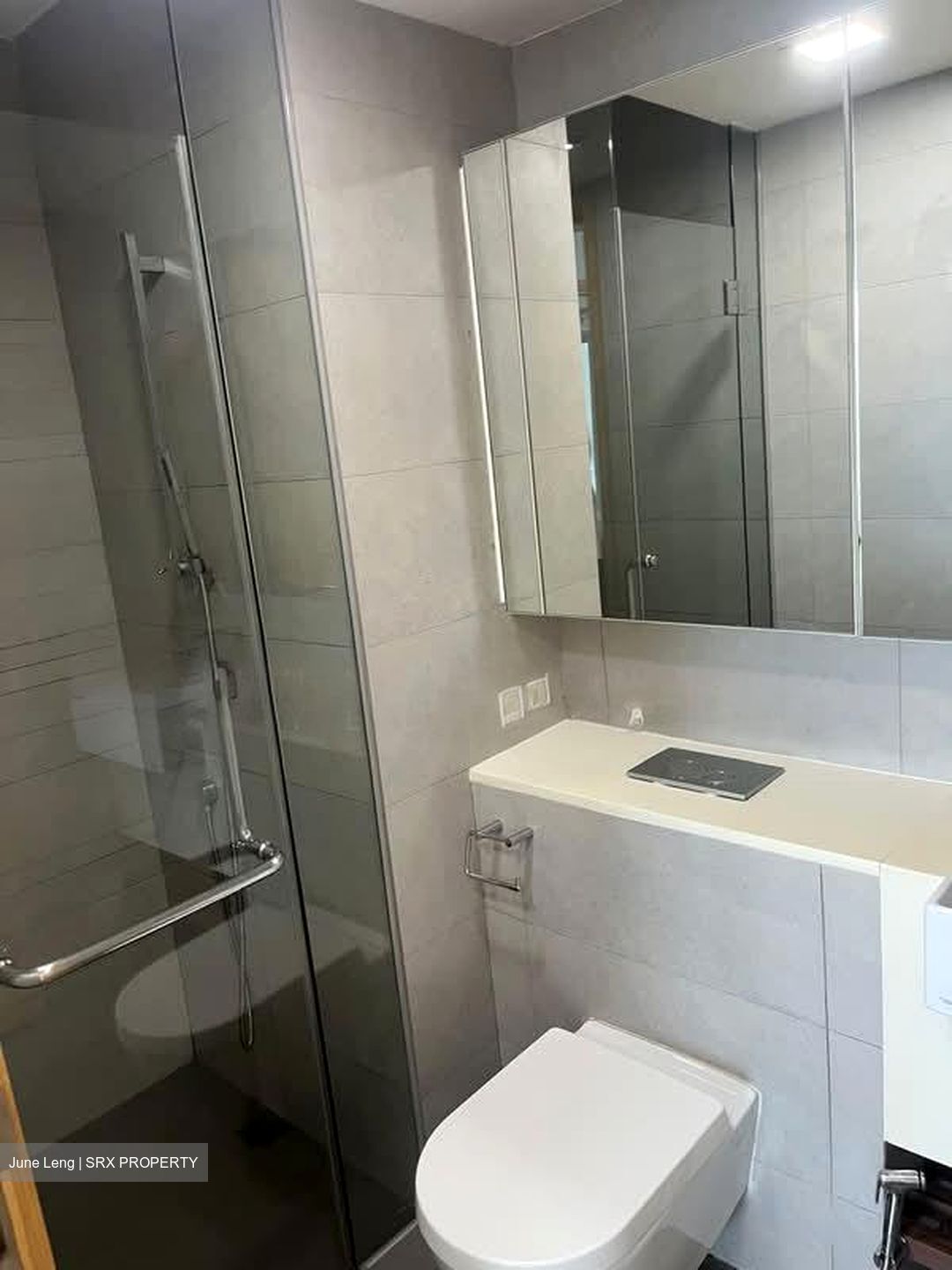 Eight Riversuites (D12), Condominium #581913371